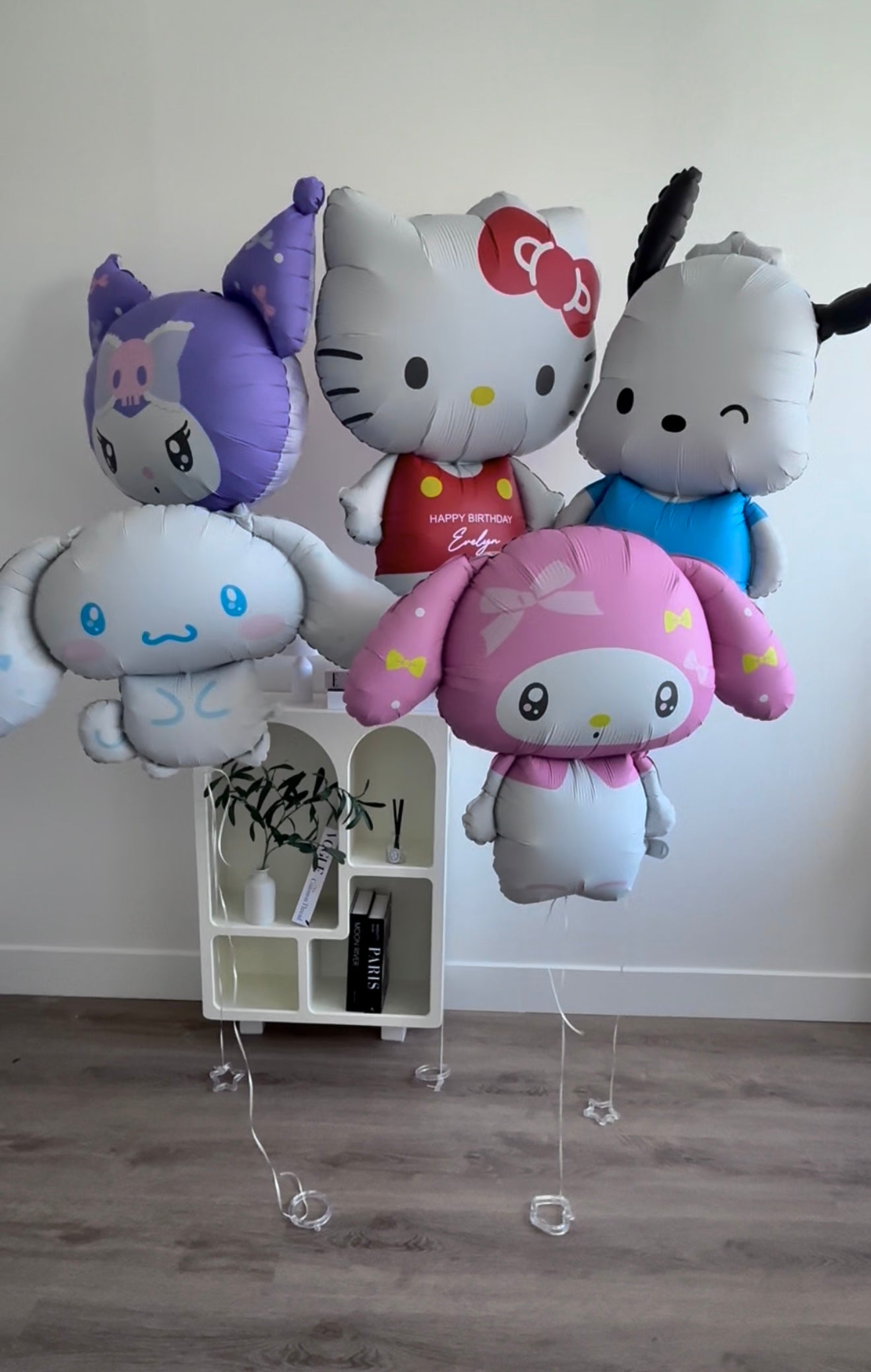 Sanrio Friends (Limited Edition)