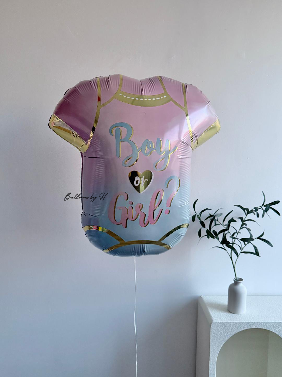 Boy or Girl Bodysuit